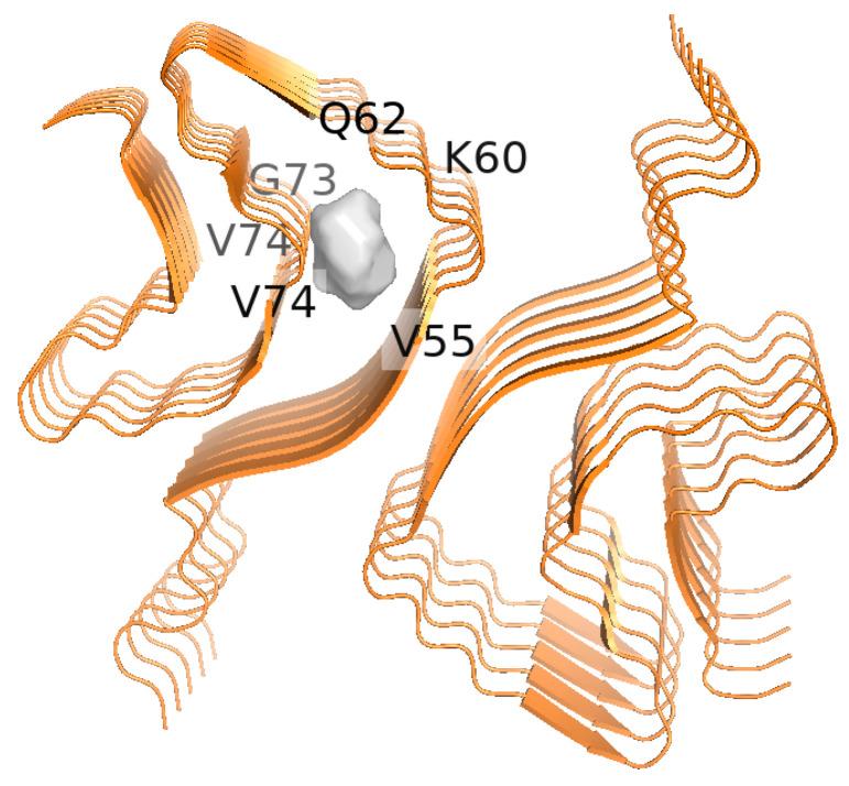 https://cdn.ncbi.nlm.nih.gov/pmc/blobs/3d63/11852371/aacd098a057b/biomimetics-10-00082-g002.jpg
