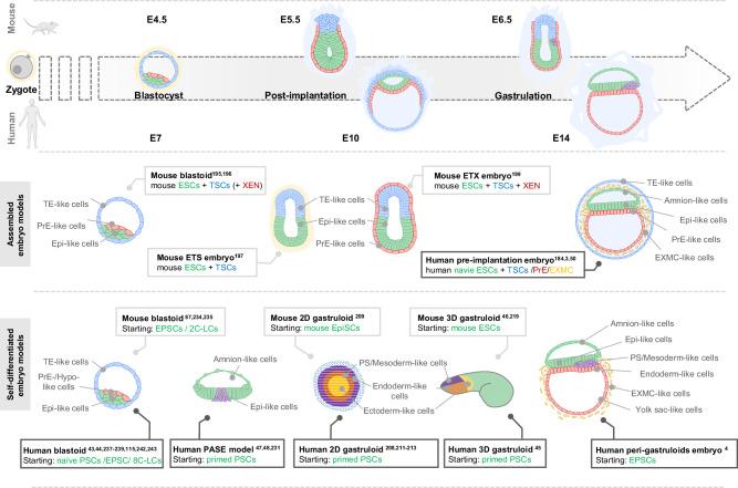 https://cdn.ncbi.nlm.nih.gov/pmc/blobs/3d64/12012135/fad20e57594b/41421_2025_780_Fig2_HTML.jpg