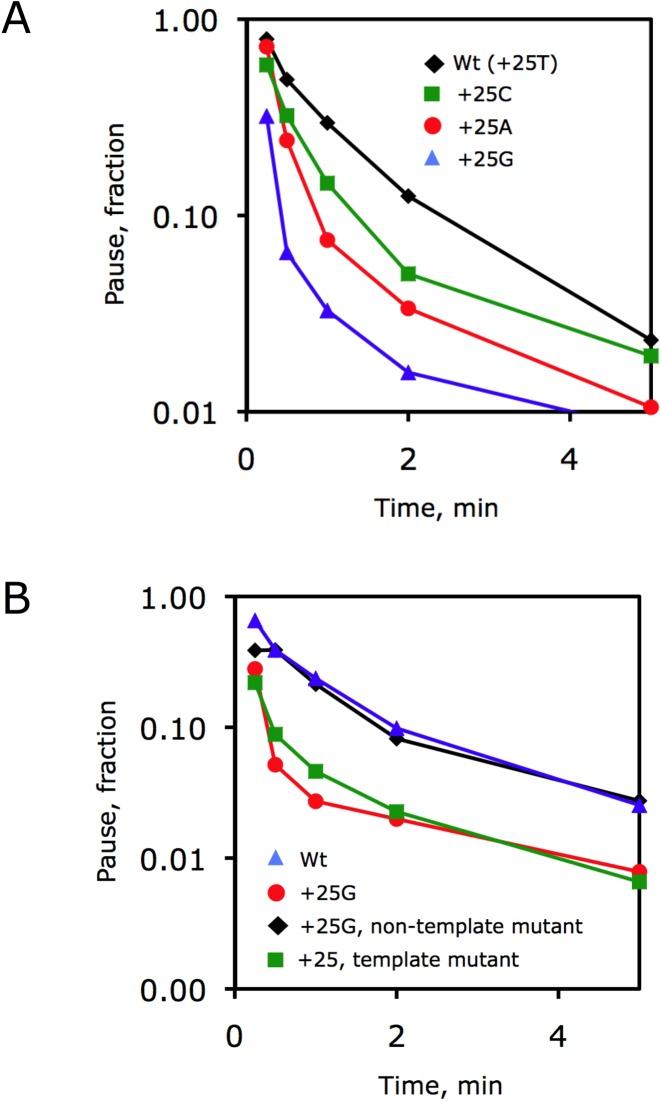 https://cdn.ncbi.nlm.nih.gov/pmc/blobs/3d65/5001585/1a944246f322/gkw285fig8.jpg