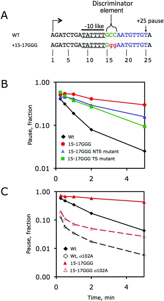 https://cdn.ncbi.nlm.nih.gov/pmc/blobs/3d65/5001585/8e6fe6be79bf/gkw285fig4.jpg
