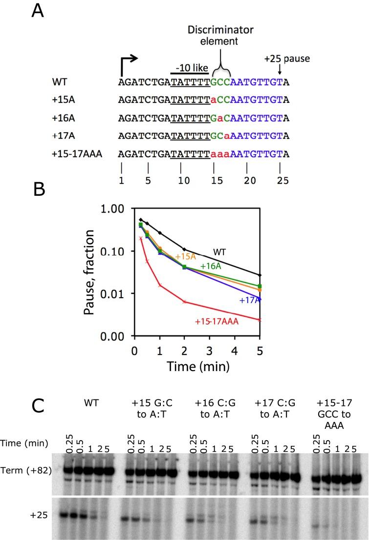 https://cdn.ncbi.nlm.nih.gov/pmc/blobs/3d65/5001585/b43e76d7b82b/gkw285fig2.jpg
