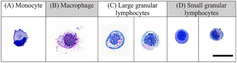 https://cdn.ncbi.nlm.nih.gov/pmc/blobs/3d66/5598945/d2a3bc6dac59/pone.0184077.g004.jpg