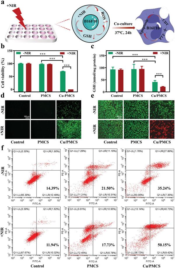 https://cdn.ncbi.nlm.nih.gov/pmc/blobs/3d68/10288238/8b63b344cff8/ADVS-10-2207342-g008.jpg