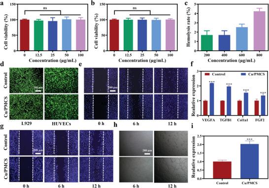 https://cdn.ncbi.nlm.nih.gov/pmc/blobs/3d68/10288238/9f34cfb1533f/ADVS-10-2207342-g010.jpg