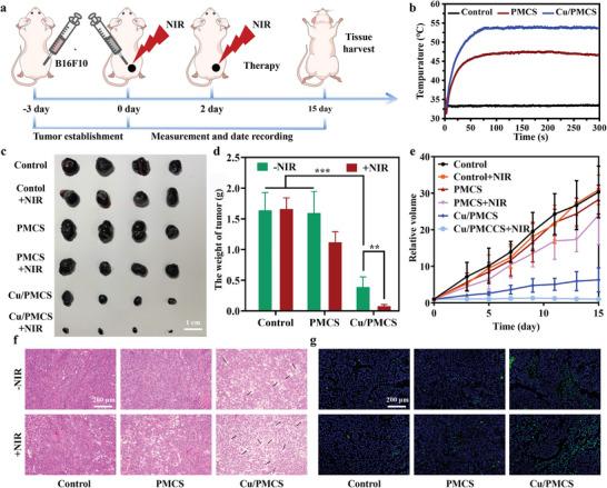 https://cdn.ncbi.nlm.nih.gov/pmc/blobs/3d68/10288238/ab1ec6ada5de/ADVS-10-2207342-g006.jpg