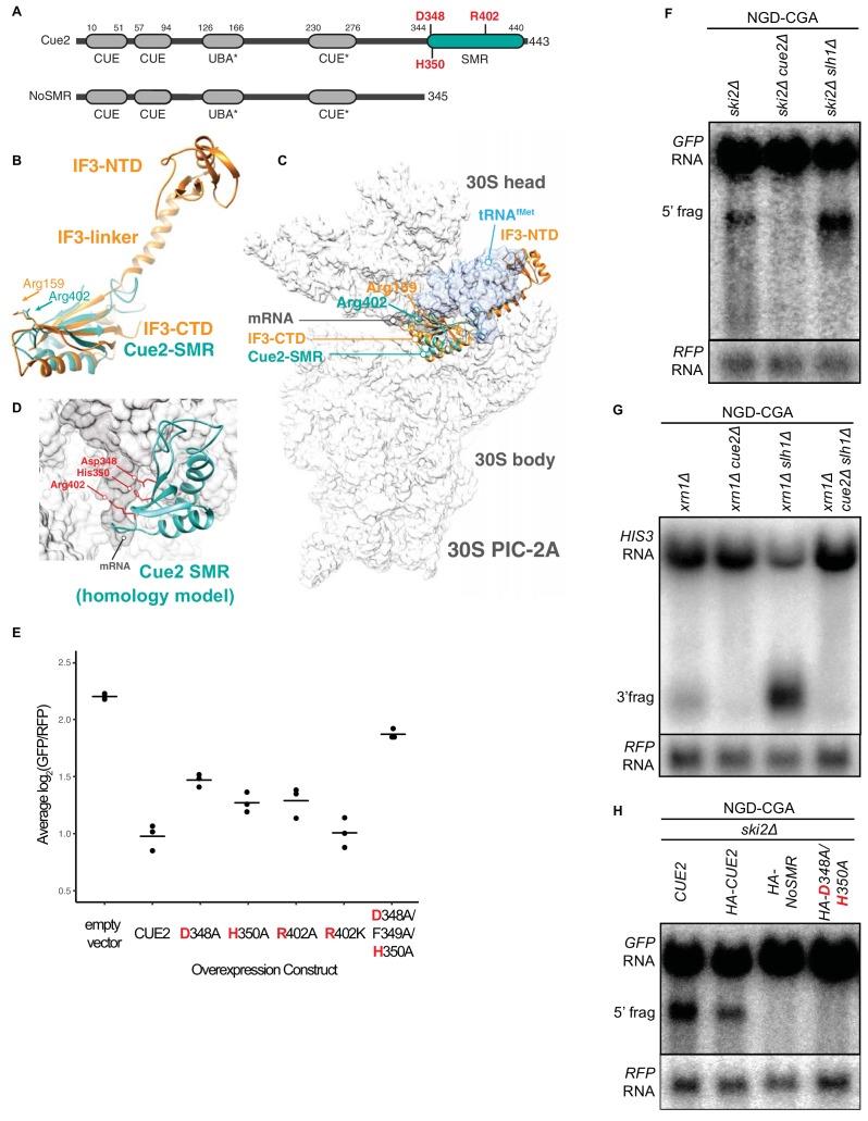 https://cdn.ncbi.nlm.nih.gov/pmc/blobs/3d68/6598757/10b8e108d8f2/elife-49117-fig2.jpg