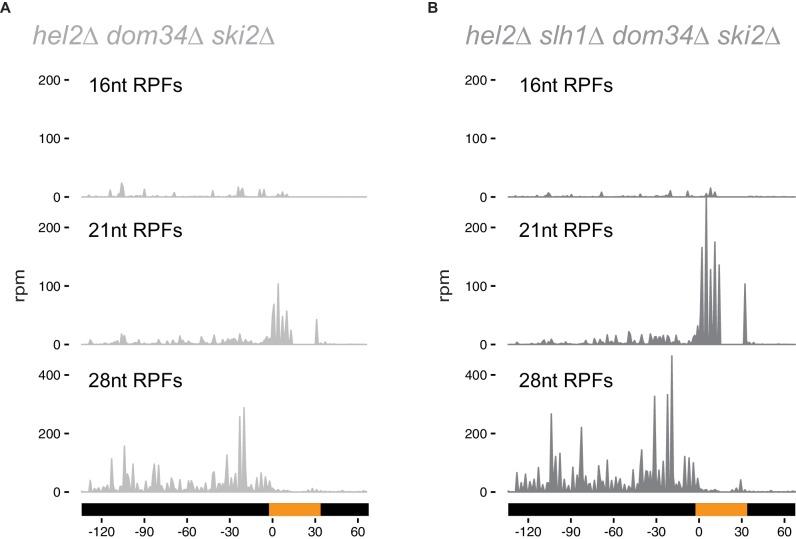 https://cdn.ncbi.nlm.nih.gov/pmc/blobs/3d68/6598757/ca6f7d4fe6f0/elife-49117-fig4-figsupp2.jpg