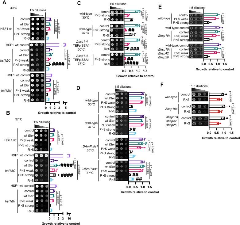 https://cdn.ncbi.nlm.nih.gov/pmc/blobs/3d6b/12082455/43c85d8299f6/gkaf428fig2.jpg