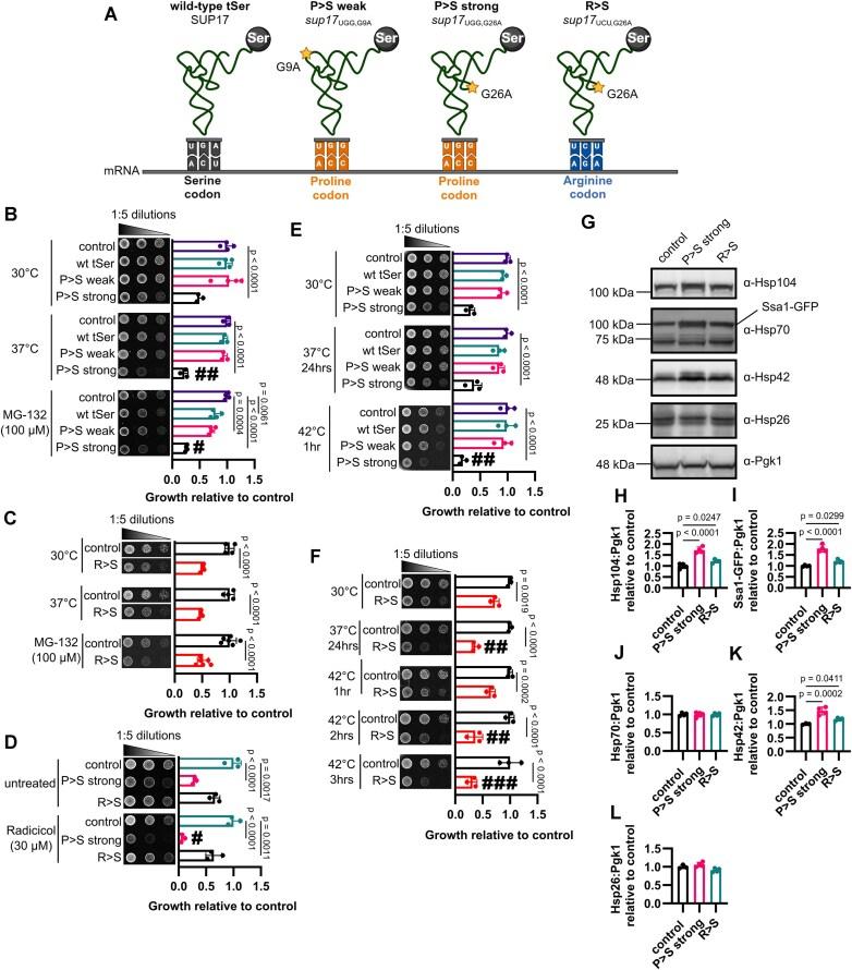 https://cdn.ncbi.nlm.nih.gov/pmc/blobs/3d6b/12082455/e893319fb463/gkaf428fig1.jpg