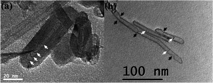 https://cdn.ncbi.nlm.nih.gov/pmc/blobs/3d6c/9418742/c21cf70b5b21/c9na00812h-f4.jpg