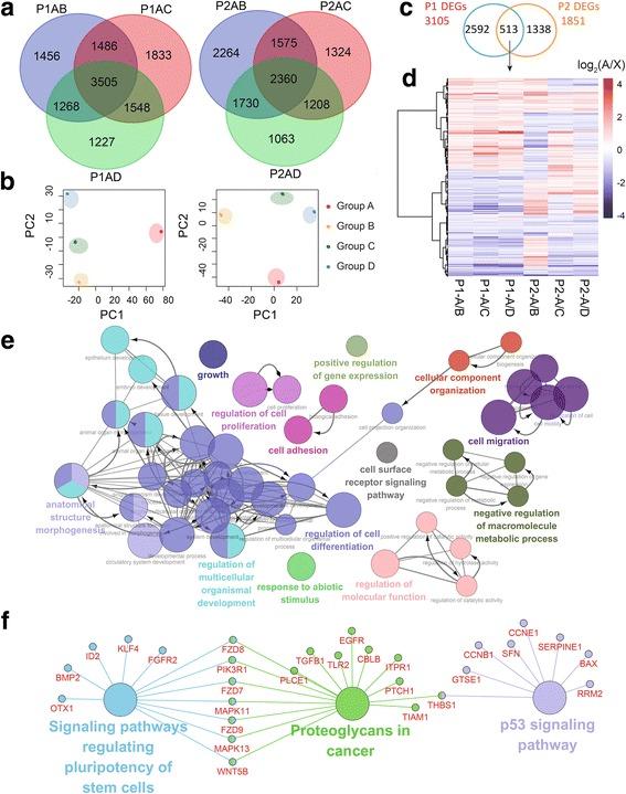 https://cdn.ncbi.nlm.nih.gov/pmc/blobs/3d6d/5824475/5d8adac05e45/12943_2018_809_Fig2_HTML.jpg