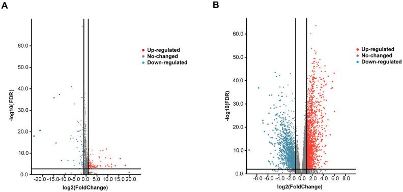 https://cdn.ncbi.nlm.nih.gov/pmc/blobs/3d6d/7655182/589a808b103f/aging-12-104014-g001.jpg
