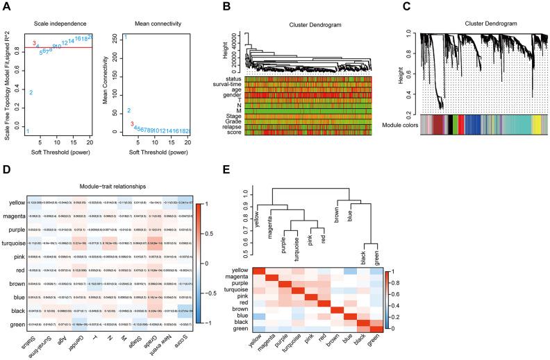 https://cdn.ncbi.nlm.nih.gov/pmc/blobs/3d6d/7655182/5bc358ed8f10/aging-12-104014-g008.jpg