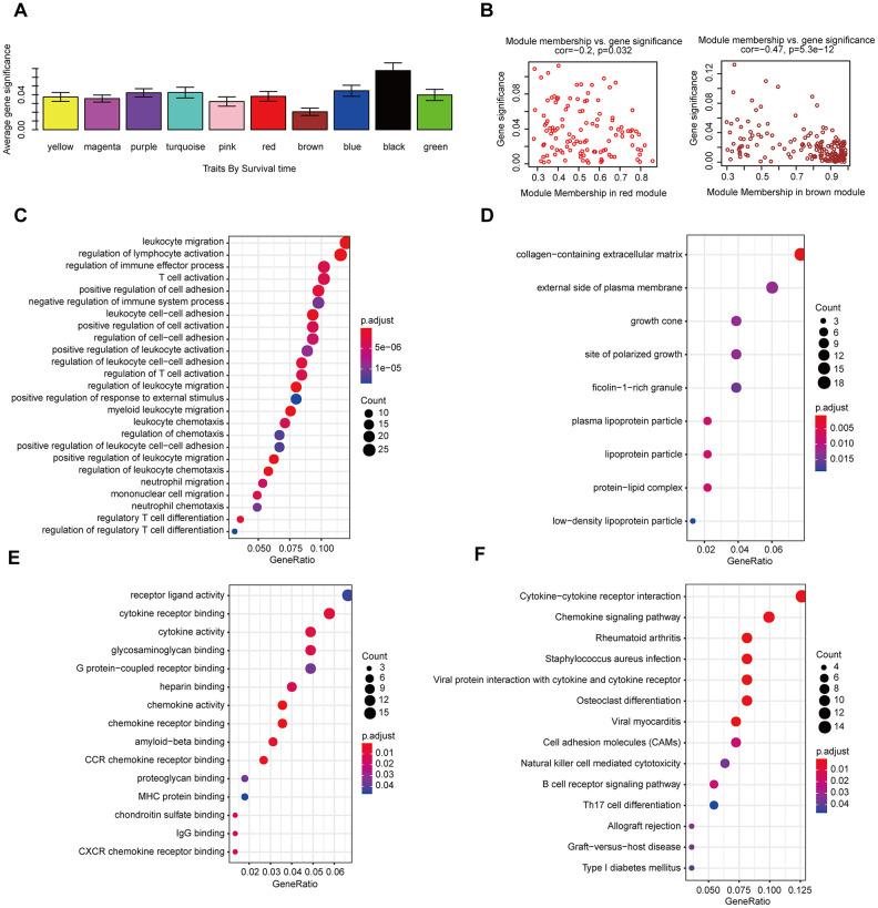 https://cdn.ncbi.nlm.nih.gov/pmc/blobs/3d6d/7655182/a5d0640f53ad/aging-12-104014-g009.jpg