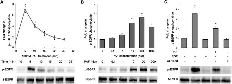 https://cdn.ncbi.nlm.nih.gov/pmc/blobs/3d72/4189590/1268e8ce9cb3/13046_2014_85_Fig1_HTML.jpg