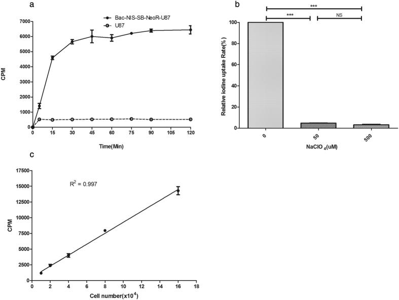 https://cdn.ncbi.nlm.nih.gov/pmc/blobs/3d72/5338331/8d01bd969105/srep43879-f3.jpg