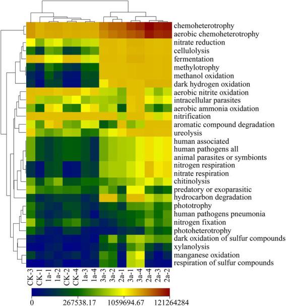 https://cdn.ncbi.nlm.nih.gov/pmc/blobs/3d73/9868712/003b9fdb6426/fmicb-13-1086334-g006.jpg