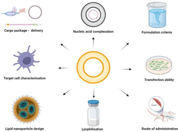 https://cdn.ncbi.nlm.nih.gov/pmc/blobs/3d75/11252464/706dac1d22c2/gr2.jpg
