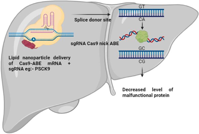 https://cdn.ncbi.nlm.nih.gov/pmc/blobs/3d75/11252464/a1b6caeafabb/gr6.jpg