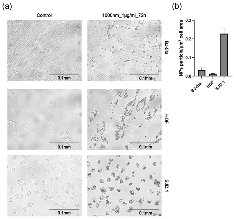 https://cdn.ncbi.nlm.nih.gov/pmc/blobs/3d75/11755607/7f641dd69142/jox-15-00006-g008.jpg
