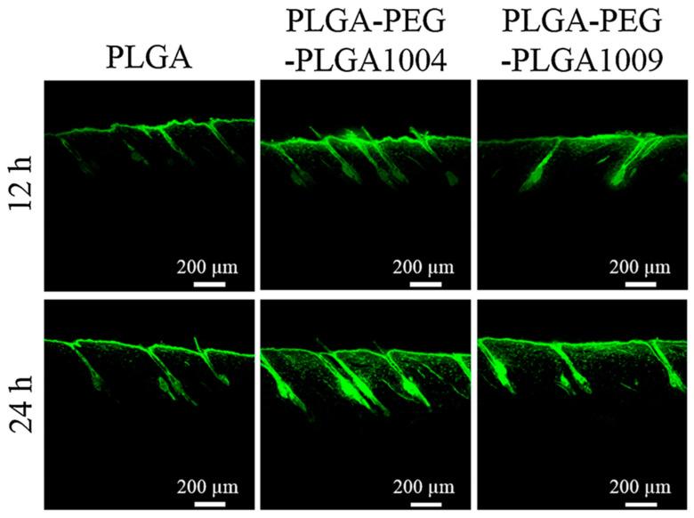 https://cdn.ncbi.nlm.nih.gov/pmc/blobs/3d75/11755607/d178ab11fed5/jox-15-00006-g007.jpg