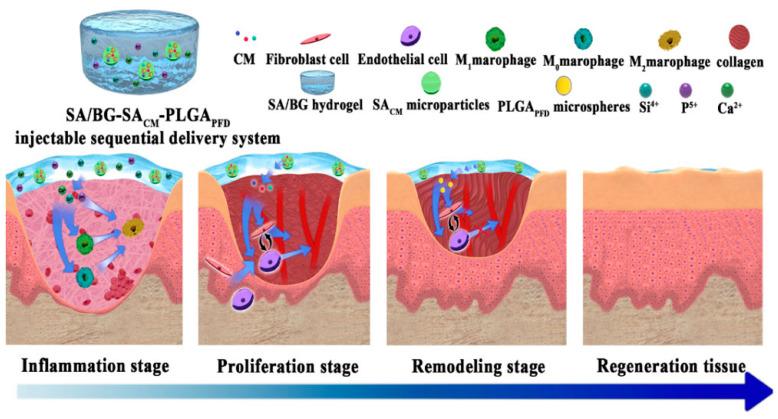 https://cdn.ncbi.nlm.nih.gov/pmc/blobs/3d75/11755607/f3fe32475e9c/jox-15-00006-g004.jpg