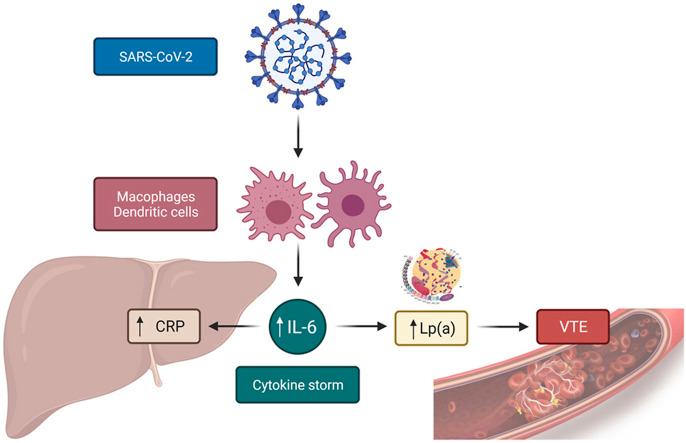 https://cdn.ncbi.nlm.nih.gov/pmc/blobs/3d75/8690577/f6e8969c35a3/ga1_lrg.jpg