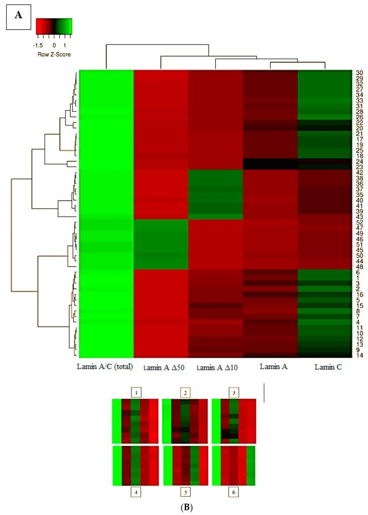 https://cdn.ncbi.nlm.nih.gov/pmc/blobs/3d76/6514937/eb3dac94b7ab/ijms-20-01902-g004.jpg