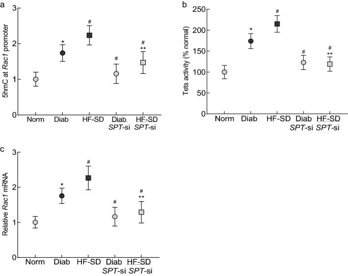 https://cdn.ncbi.nlm.nih.gov/pmc/blobs/3d77/9537524/3f87aac93e9e/41598_2022_20243_Fig7_HTML.jpg