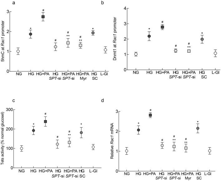 https://cdn.ncbi.nlm.nih.gov/pmc/blobs/3d77/9537524/5f4d237af76b/41598_2022_20243_Fig4_HTML.jpg
