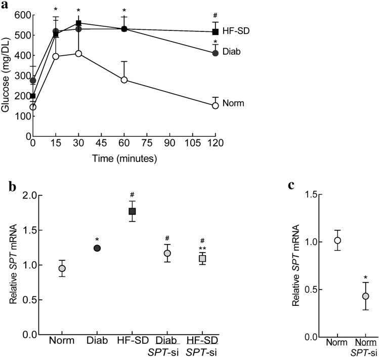 https://cdn.ncbi.nlm.nih.gov/pmc/blobs/3d77/9537524/de19046969ea/41598_2022_20243_Fig5_HTML.jpg
