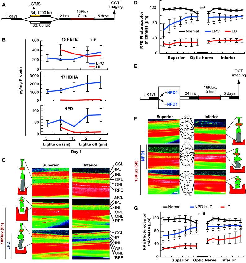 https://cdn.ncbi.nlm.nih.gov/pmc/blobs/3d78/11481954/d9631991e034/10571_2017_565_Fig6_HTML.jpg