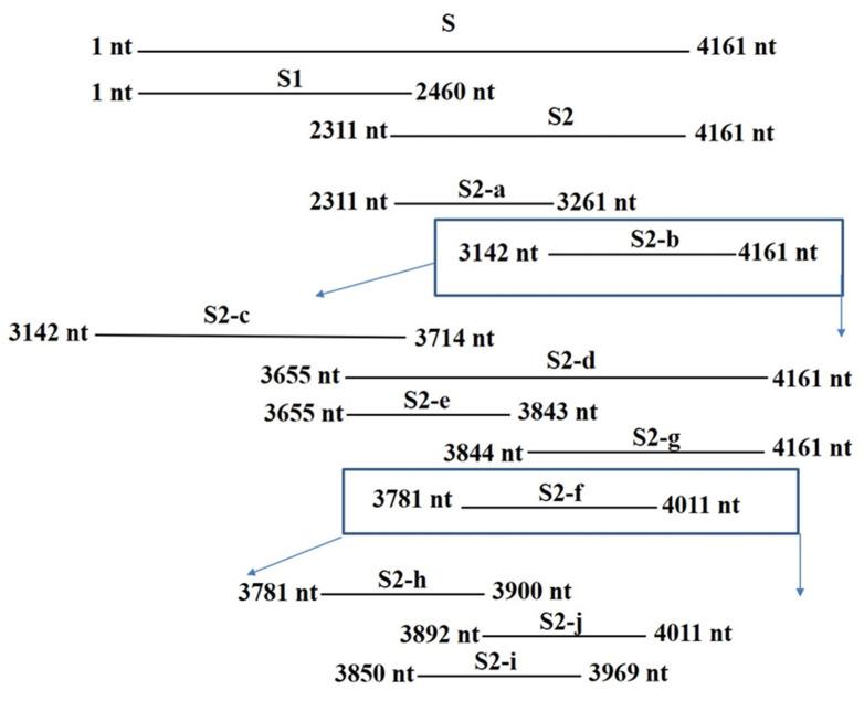 https://cdn.ncbi.nlm.nih.gov/pmc/blobs/3d79/9456025/a9df50fe3416/ijms-23-09674-g004.jpg
