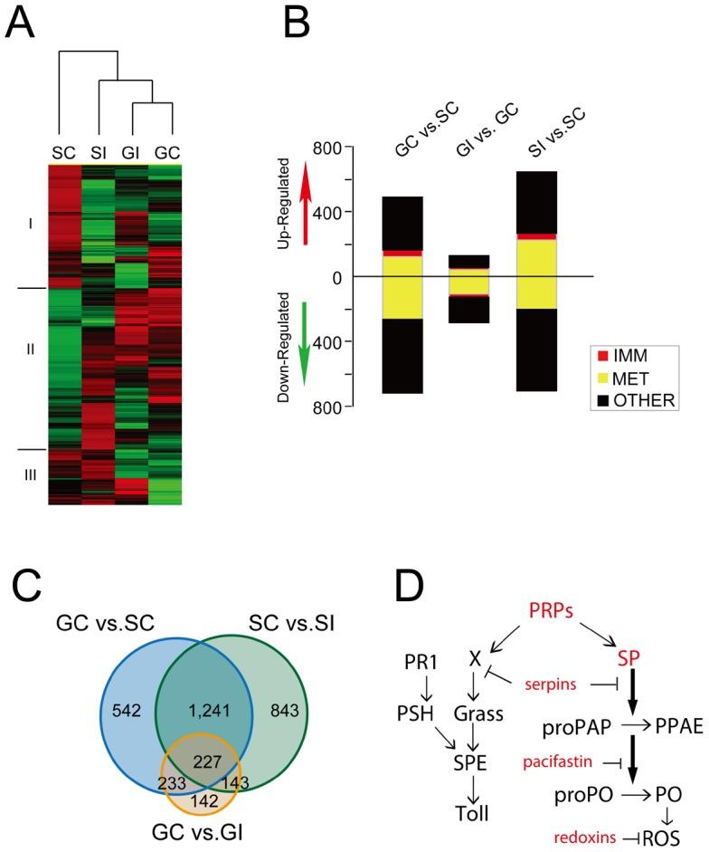 https://cdn.ncbi.nlm.nih.gov/pmc/blobs/3d7a/3542111/9e60f65b39d6/ppat.1003102.g002.jpg