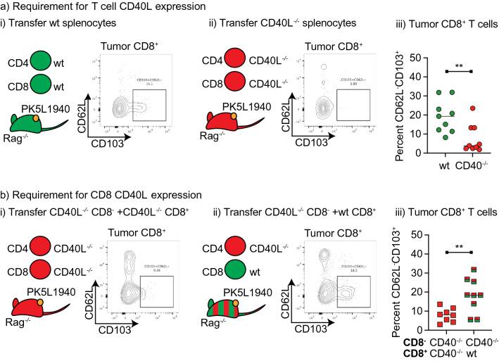 https://cdn.ncbi.nlm.nih.gov/pmc/blobs/3d7b/10113239/00ebce0fc22d/41598_2023_33508_Fig6_HTML.jpg