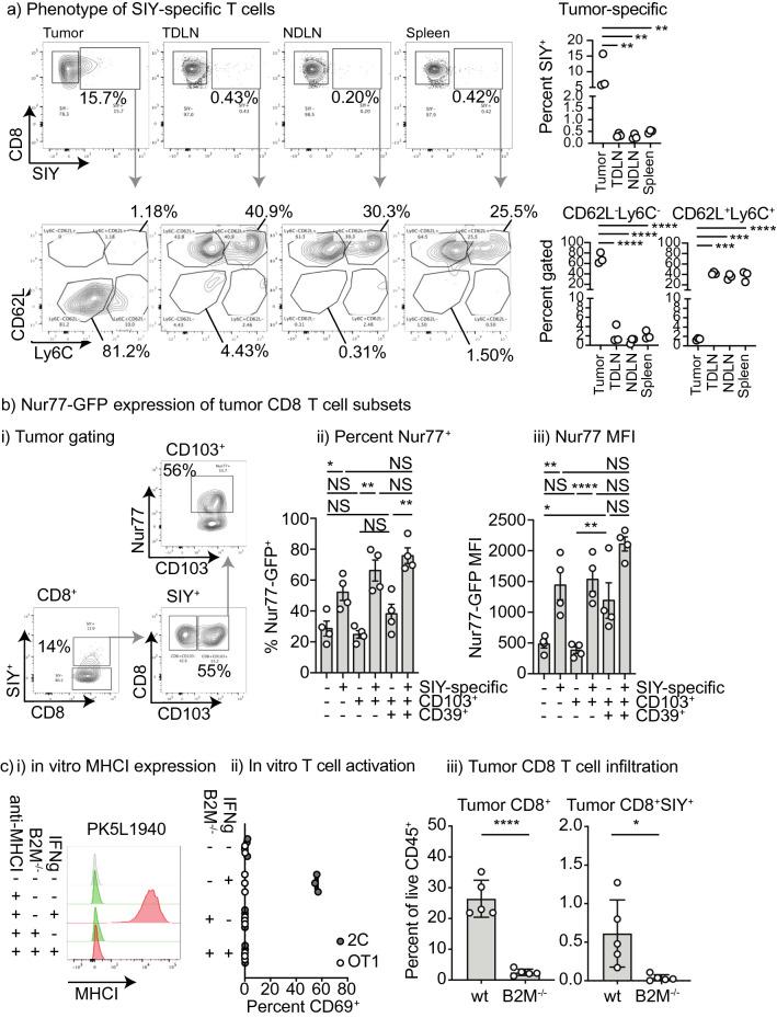 https://cdn.ncbi.nlm.nih.gov/pmc/blobs/3d7b/10113239/7c4c2faac9f5/41598_2023_33508_Fig2_HTML.jpg