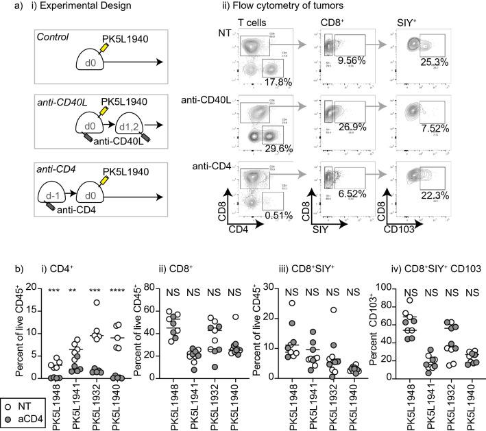 https://cdn.ncbi.nlm.nih.gov/pmc/blobs/3d7b/10113239/eec473cda26b/41598_2023_33508_Fig4_HTML.jpg