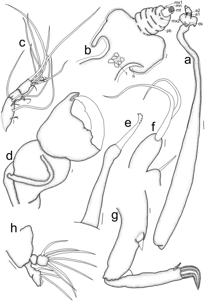 https://cdn.ncbi.nlm.nih.gov/pmc/blobs/3d7d/11035446/9015ac5d6eb2/11230_2024_10157_Fig3_HTML.jpg