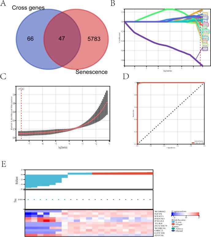 https://cdn.ncbi.nlm.nih.gov/pmc/blobs/3d7e/12009413/307eace530b3/41598_2025_97791_Fig5_HTML.jpg