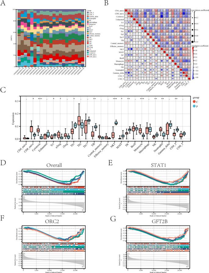 https://cdn.ncbi.nlm.nih.gov/pmc/blobs/3d7e/12009413/3be295f115a5/41598_2025_97791_Fig7_HTML.jpg