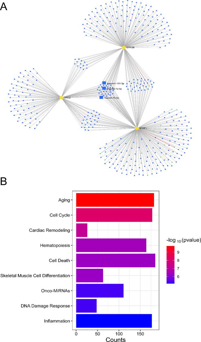 https://cdn.ncbi.nlm.nih.gov/pmc/blobs/3d7e/12009413/59d53c9d8643/41598_2025_97791_Fig8_HTML.jpg