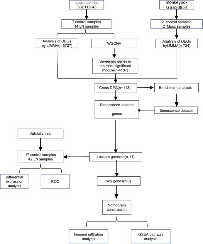 https://cdn.ncbi.nlm.nih.gov/pmc/blobs/3d7e/12009413/f10644abf750/41598_2025_97791_Fig1_HTML.jpg
