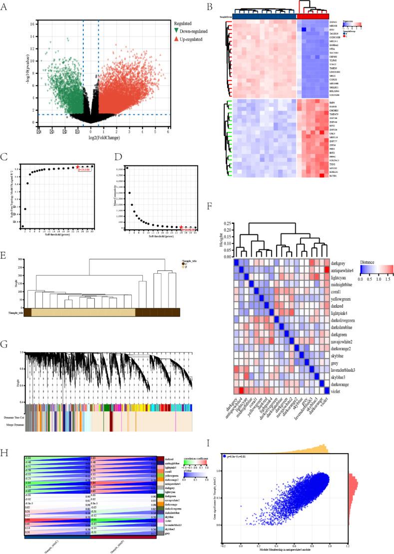 https://cdn.ncbi.nlm.nih.gov/pmc/blobs/3d7e/12009413/ffb079d658e8/41598_2025_97791_Fig3_HTML.jpg