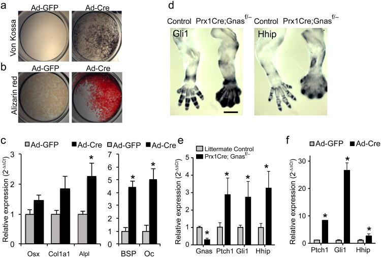 https://cdn.ncbi.nlm.nih.gov/pmc/blobs/3d82/3917515/2c98ea0931cd/nihms508101f3.jpg
