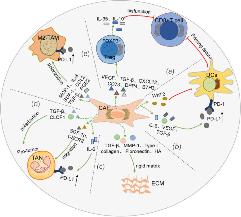 https://cdn.ncbi.nlm.nih.gov/pmc/blobs/3d82/9912573/22c8da8bf067/12943_2023_1731_Fig1_HTML.jpg