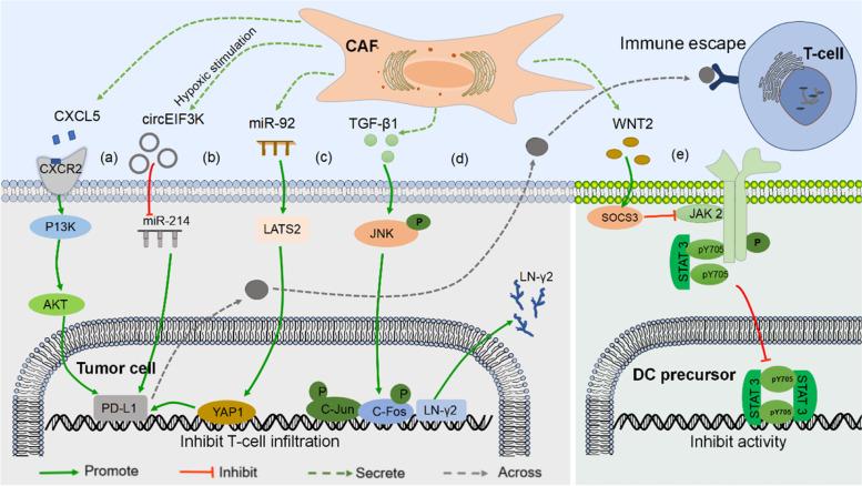 https://cdn.ncbi.nlm.nih.gov/pmc/blobs/3d82/9912573/2efb505484d5/12943_2023_1731_Fig2_HTML.jpg