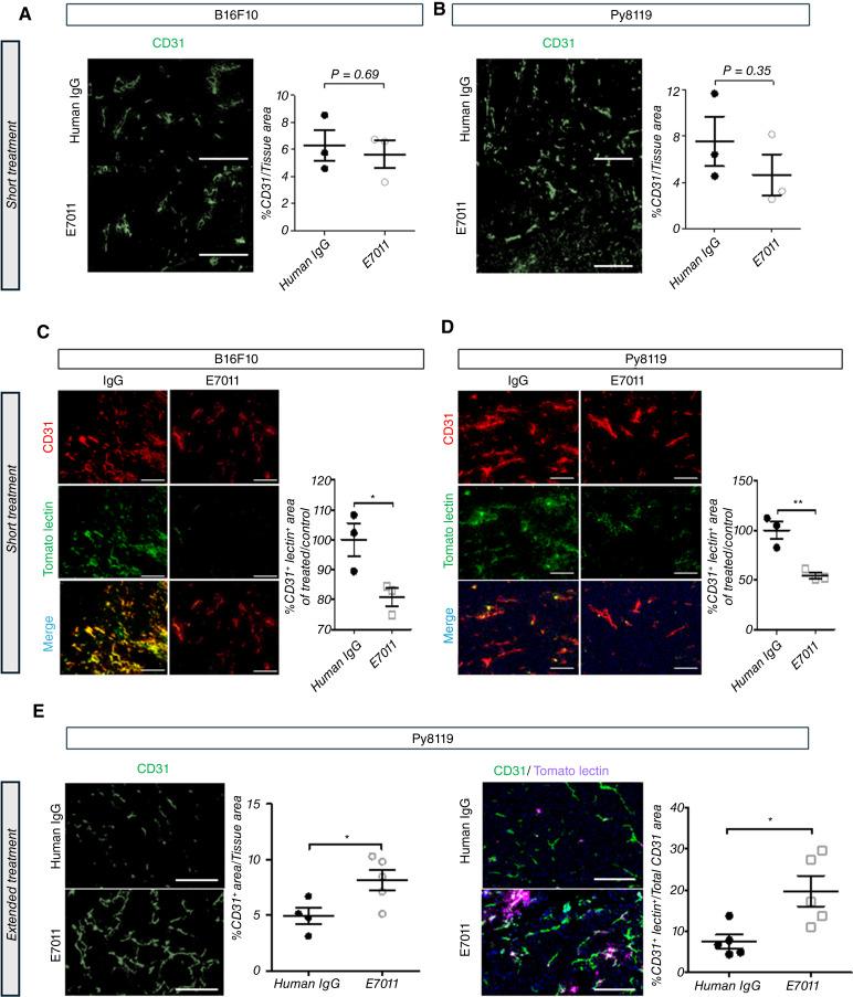 https://cdn.ncbi.nlm.nih.gov/pmc/blobs/3d85/11289863/9df34aac2657/crc-24-0081_f6.jpg