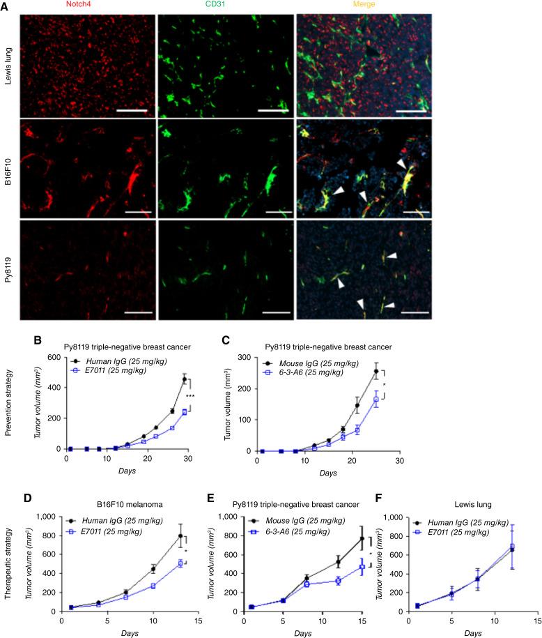 https://cdn.ncbi.nlm.nih.gov/pmc/blobs/3d85/11289863/a39fe88118f3/crc-24-0081_f4.jpg