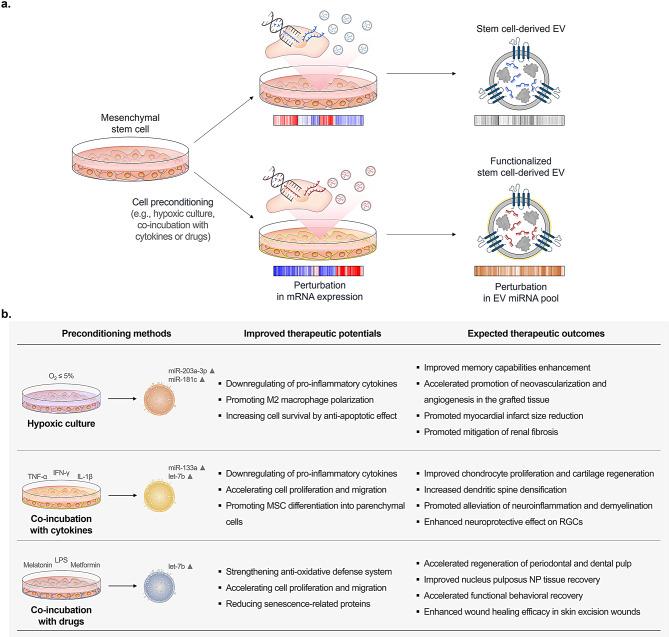 https://cdn.ncbi.nlm.nih.gov/pmc/blobs/3d86/11921732/b67c2a0694fb/12951_2025_3300_Fig2_HTML.jpg