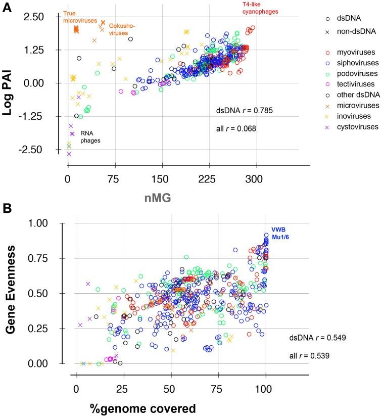 https://cdn.ncbi.nlm.nih.gov/pmc/blobs/3d87/4424905/c6f687527126/fmicb-06-00381-g0003.jpg